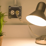 Evolution of LAMP: From Concept to Application